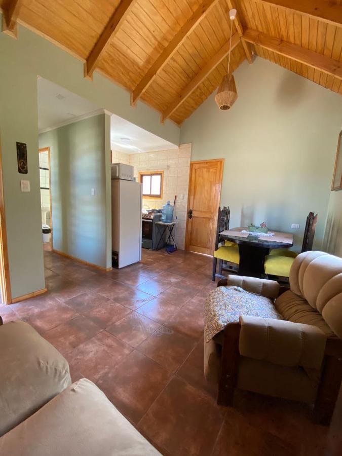 Cabañas Vicuña Cielo de Peralillo - Valle De Elqui Exterior foto